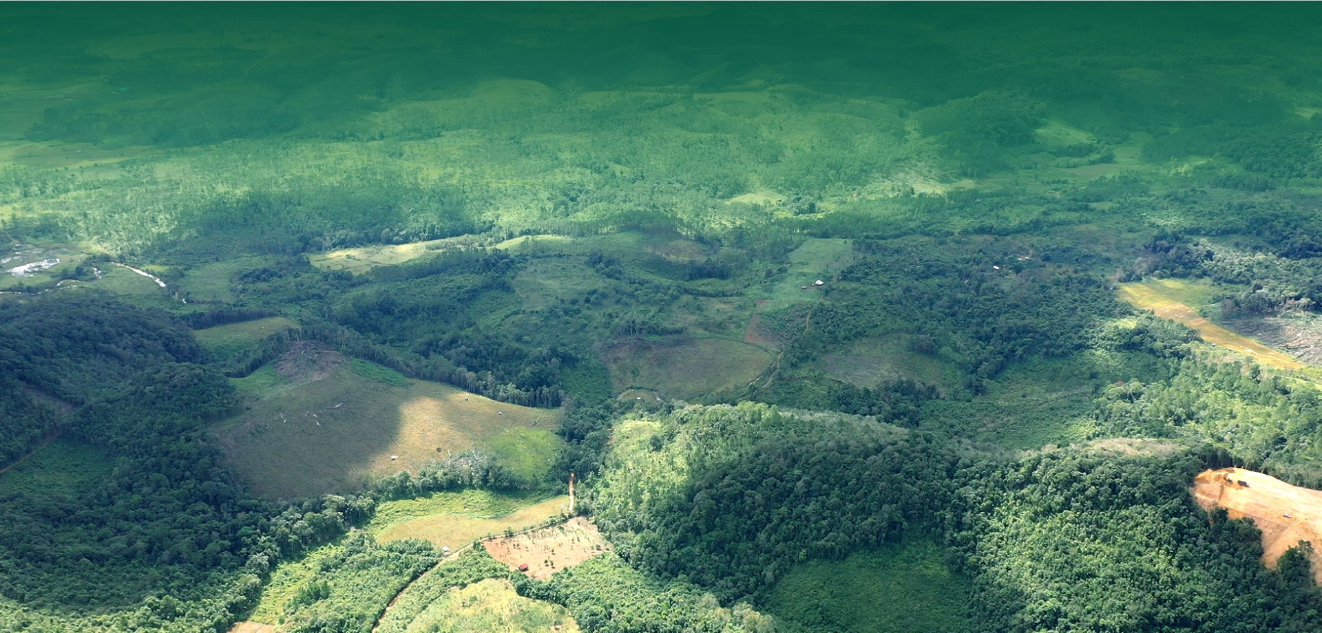 4-Nông-nghiệp